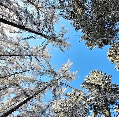 Valley View With Private Wellness Lägenhet